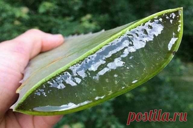 Напиток, Который Избавит Кишечник От Шлаков - Лучшие рецепты! Нам необходима пища, чтобы у нас была энергия для выполнения разных действий. Но организм не использует все, что мы потребляем, и лишние отходы должны выходить. Во время пищеварения организм отделяет питательную пищу от отходов и Читать дальше…