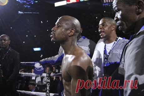 Вы сборище ленивых ничтожеств, прикрывающих свою лень обстоятельствами! Вы никогда не подниметесь на пьедесталы, и не покорите Эверест / Восприятие бизнеса