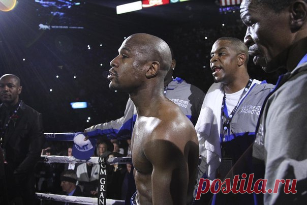 Вы сборище ленивых ничтожеств, прикрывающих свою лень обстоятельствами! Вы никогда не подниметесь на пьедесталы, и не покорите Эверест / Понимание бизнеса