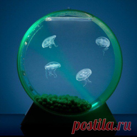 Фотографии на стене сообщества | 32 928 фотографий