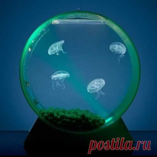 Фотографии на стене сообщества | 32 928 фотографий