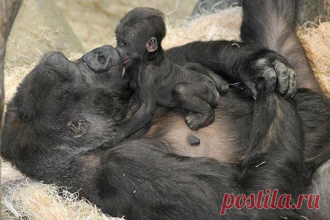 Мамина радость...