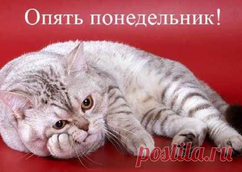 Хитрости Жизни