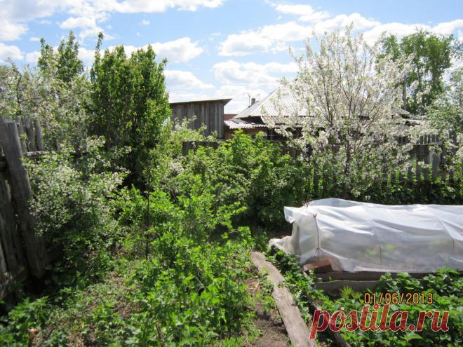 парнички уже готовы и даже засажены!