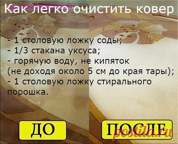 Как легко очистить ковер 

Чтобы сократить траты на средства для мытья ковров, которые нам предлагают купить в магазинах, давайте сделаем средство для мытья ковров сами. Это средство будет в разы дешевле, без бесконечного списка химии с составе и самое главное - оно будет чистить. 

Итак, нам понадобится пустая тара среднего размера с распылителем, в которую мы добавим: 
- 1 столовую ложку соды; 
- 1/3 стакана уксуса; 
- горячую воду, не кипяток (не доходя около 5 см до кр...