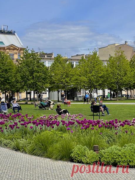 Что посетить за выходные в Петербурге: личный опыт путешественницы