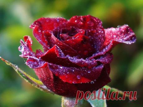 ВНИМАНИЕ!!! Работа в ИНТЕРНЕТЕ для мам в декрете и не только!!! БЕЗ ПРОДАЖ! БЕЗ ВЛОЖЕНИЙ! Не имеет отношения к пирамидам!!! Стабильный доход 17 раз в году. Через год работы доход 1000$ каждые три недели. Через 2-3 года работы доход порядка 5000$ каждые 3 недели. ЛЕГАЛЬНО! БЕСПЛАТНОЕ ОНЛАЙН ОБУЧЕНИЕ! Заинтересовало? Пишите polina77b@yandex.ru https://biz3877.blogspot.com или жмите Подробнее