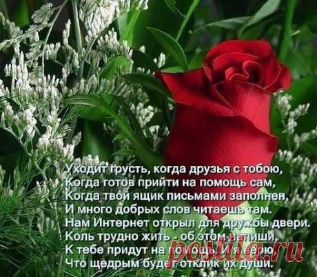 Одноклассники