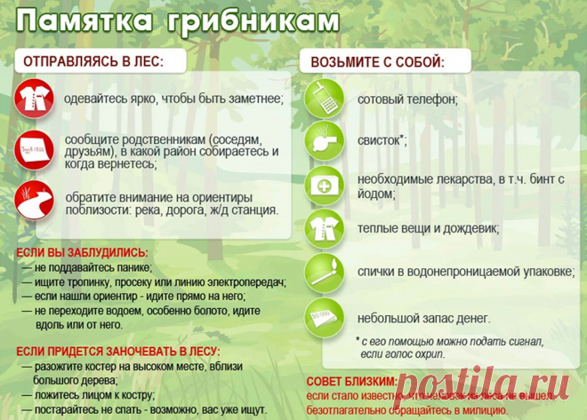 Отправиться в лес Medch.ru — сайт для женщин о красоте, моде, здоровье и отношениях Все о здоровом организме, эффективных тренировках и правильном питании, советы по обустройству дома и сада, ведению бюджета и домашнему хозяйству, бьюти-советы.
