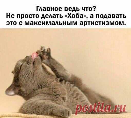 м