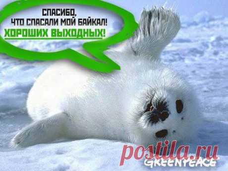 Иркутяне – НАТАША ***** добавила фотографию в альбом ПОДЕЛИСЬ