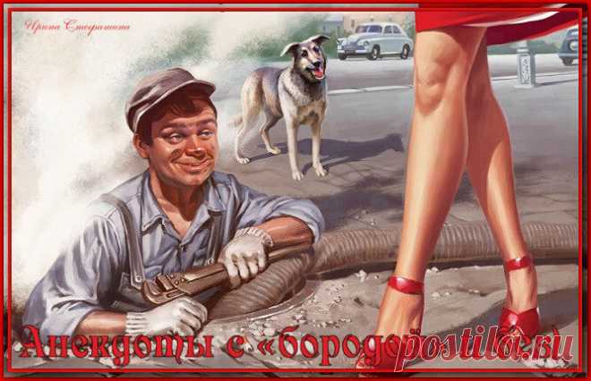 Анекдоты с «бородой» и без)) от соседа Митрича. | Ирина Стефашина | Яндекс Дзен
