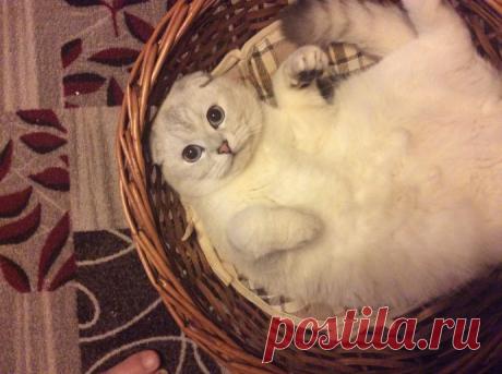 Прибавки на живот