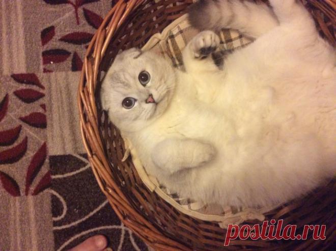 Прибавки на живот