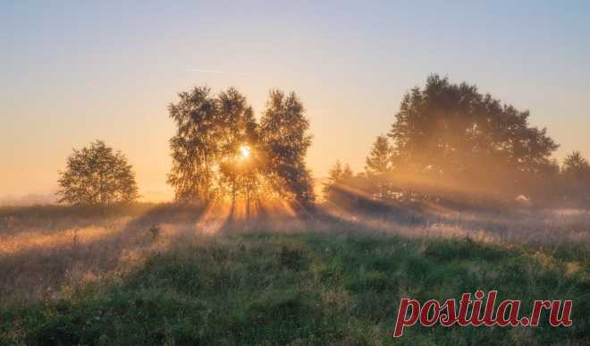 Осеннее утро
Atridas (с)