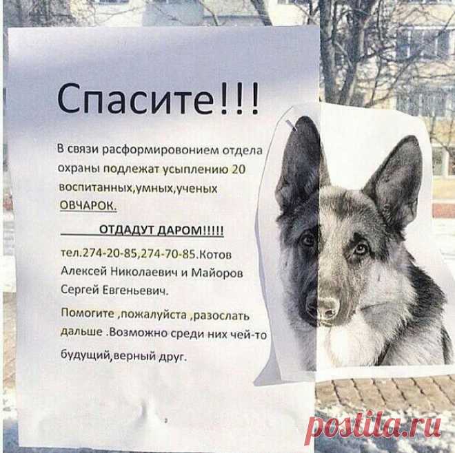 Давайте поможем!