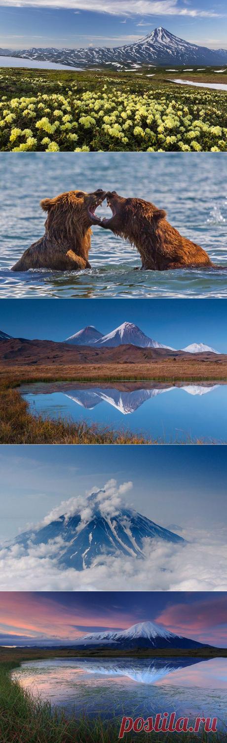 Очарованный Камчаткой / Туристический спутник