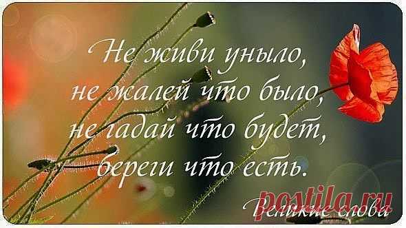 Надежда Травина – Google+