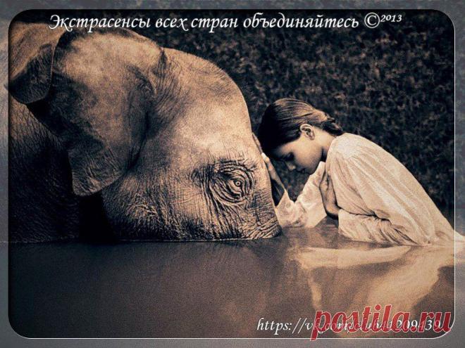 30 фактов, которые вы наверняка не знали

1. Параллельные линии в космосе пересекаются.

2. Фэн-шуй изначально — искусство украшения могил.

3. При чихании все функции организма останавливаются, даже.. сердце.

4. Утиное кваканье не дает эха.

5. Самое большее количество отжиманий за раз — 46001

6. Змея может спать в течение 3 лет

7. Длина волос на голове, отращиваемых в среднем человеком в течение жизни – 725 километров.