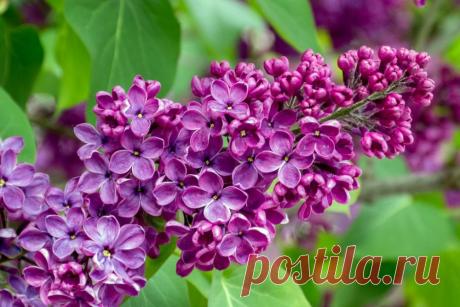 Просыпается жизнь...