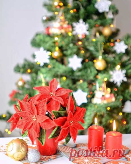 PDF Рождественская звезда крючком. FREE crochet pattern; Аmigurumi toy patterns. Амигуруми схемы и описания на русском. Вязаные игрушки и поделки своими руками #amimore - украшение к Новому году, букет, цветы, рождественская звезда.