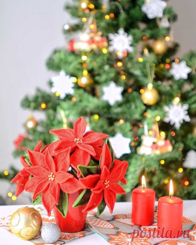 PDF Рождественская звезда крючком. FREE crochet pattern; Аmigurumi toy patterns. Амигуруми схемы и описания на русском. Вязаные игрушки и поделки своими руками #amimore - украшение к Новому году, букет, цветы, рождественская звезда.