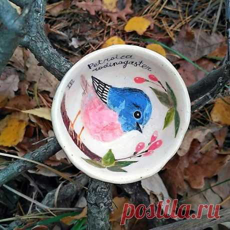 Petroica rodinogaster.
⠀
Ну, во-первых, красавец, что видно невооруженным глазом и в обсуждении не нуждается. А какой хозяйственный! Читаем Википедию: «Гнёзда создают прочные, аккуратные, изнутри его выкладывают мхом, перьями, мехом и паутиной».
⠀
Чую, чую родную душу. Поплыть бы на корабле в Австралию, где он живет, сказать : «Ну, здравствуй, брат! Как ты вообще? Какой мех предпочитаешь? А я вот коврик на пол положила розовый из Икеи. Как тебе?» А он мне: «Да, норм, я роз...