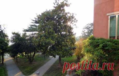 2 bedroom apartment for sale in Venezia, Venice, Veneto, Italy