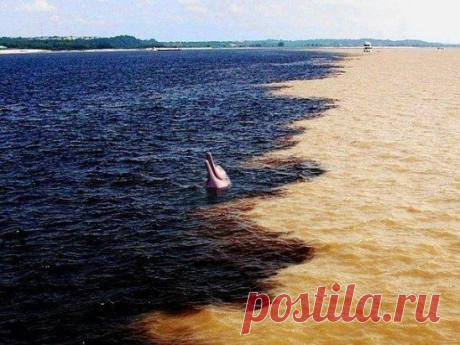 Место слияния реки Амазонки и Рио Негро, Бразилия