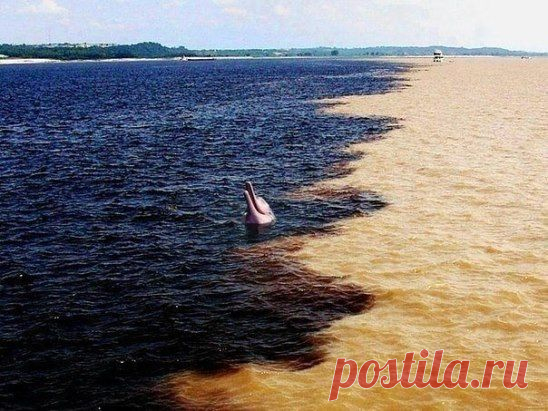 Место слияния реки Амазонки и Рио Негро, Бразилия