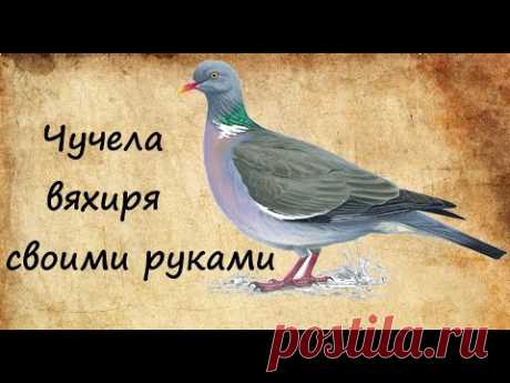 Чучела вяхиря своими руками