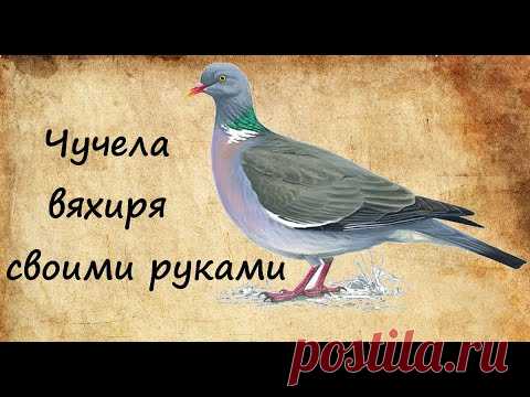 Чучела вяхиря своими руками