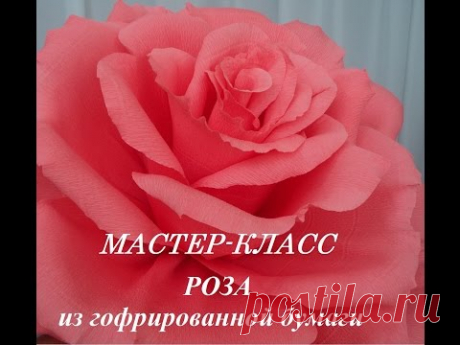РОЗА МАСТЕР КЛАСС