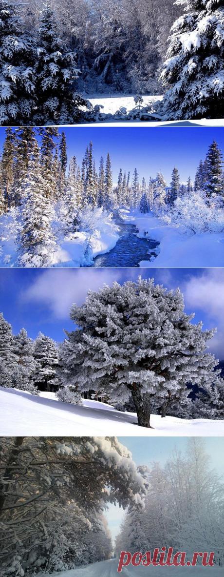 Зимние пейзажи
