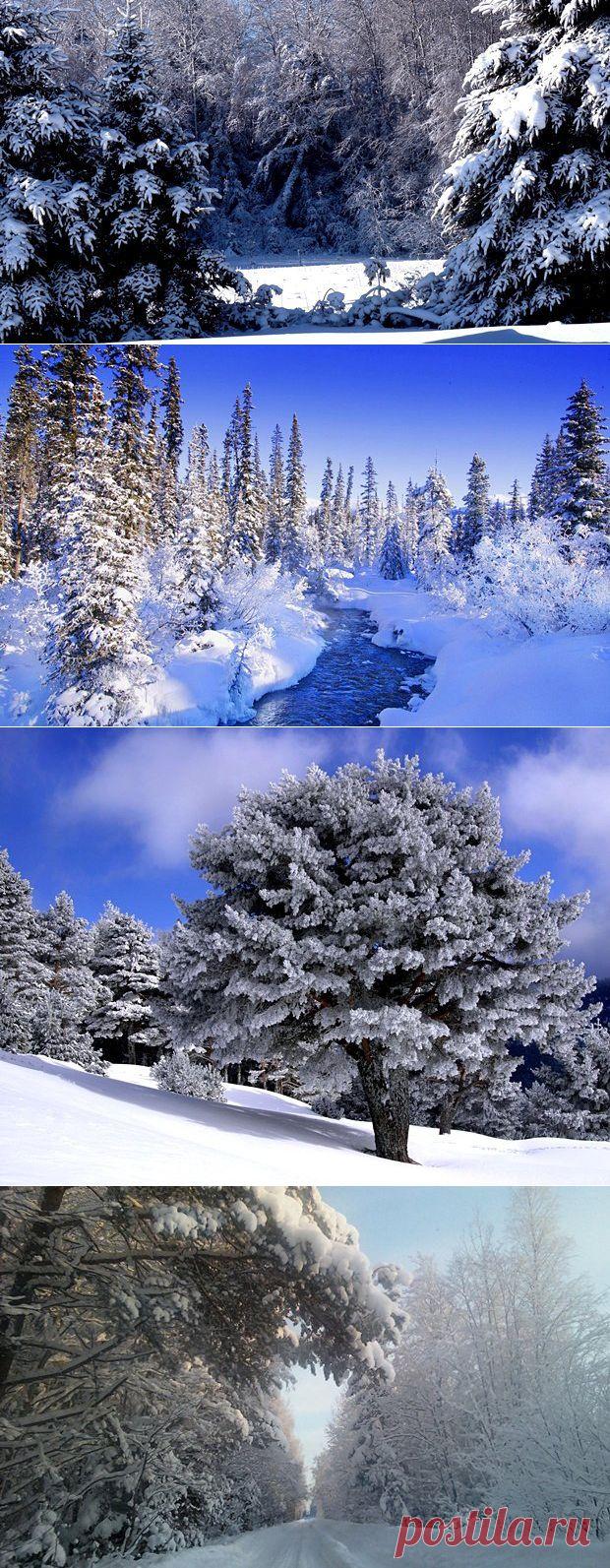 Зимние пейзажи