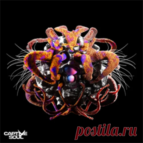 Glowal, DREYA V - Physique | 4DJsonline.com
