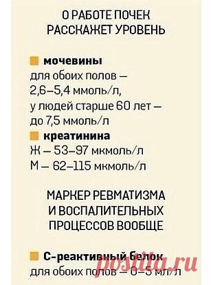 (42) Одноклассники