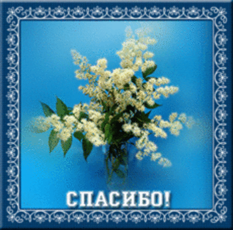 спасибо