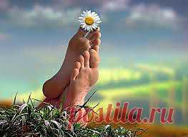 Ещё древние китайцы выявили, и в их тактике описаны некоторые приемы, которые способствуют укреплению ног, а, значит, задерживают старение организма:

Надо обязательно ходить босиком! Конечно, возможности делать это на улице практические нет — ходите дома.