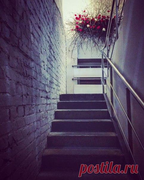 Невероятно талантливая флорист лайреат и победитель крупнейших международных флористических конкурсов Натали Брук творит чудеса из цветов. Студия флористического дизайна NATALY BRUK ART & FLORAL DESIGN (@natalybrukdesign) является партнером выставки художницы Ники Тартаковской "Экология в искусстве". Лот от Nataly Bruk - оригинальная цветочная композиция была продана на благотворительном аукционе, прошедшем в рамках художественной выставки. Средства от продажи были направлены в…