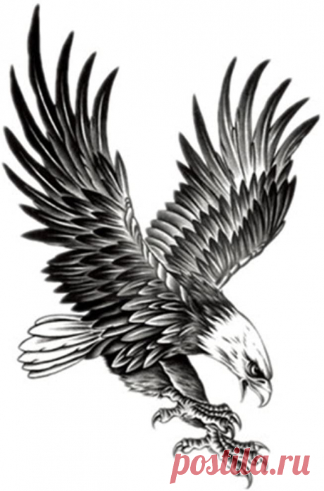 Amazon.com: Single Night Unisex 2 Sheets Creative Body Art Stickers Removable Waterproof Temporary Tattoos Fake Tattoos for Men and Women (Eagle): Furniture & Decor