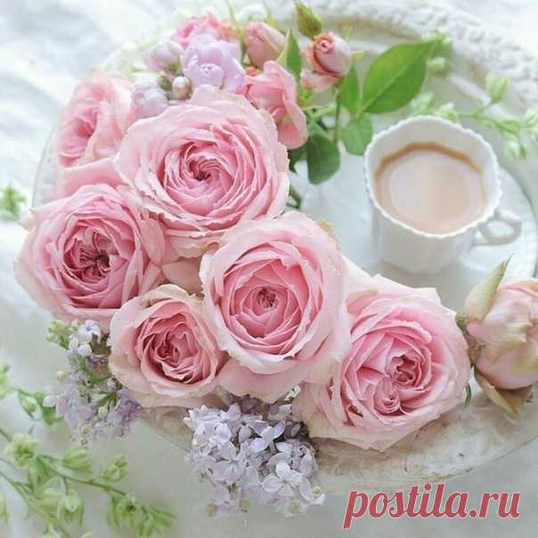 С добрым утром!