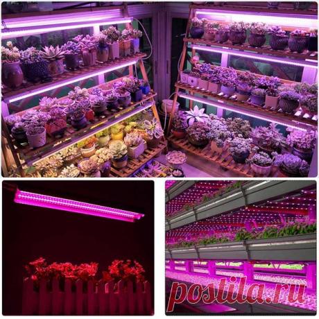 Светодиодный светильник для выращивания рассады
Мощность: 500 W
Размеры: 50*9*5 см
Тип вилки: США/ЕС
https://s.click.aliexpress.com/e/bVuYwWo6?product_id=..
#светильник #рассада