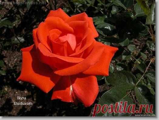 (1) Facebook