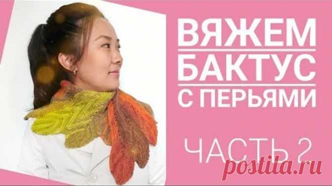 ВЯЖЕМ БАКТУС С ПЕРЬЯМИ /Pinchashawl/ ЧАСТЬ 2