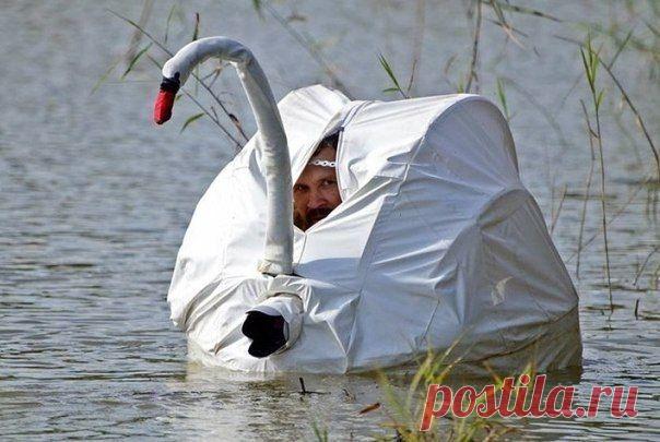 Еще один гуру маскировки...