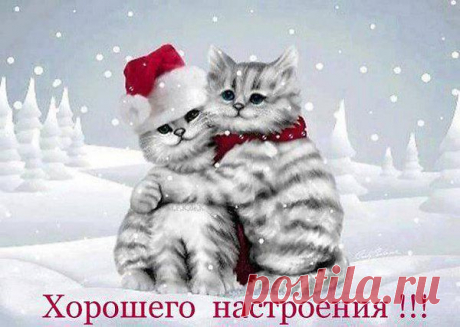 Интересные новости
