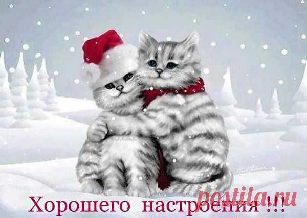 Интересные новости