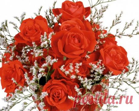 Галерея|Пионы и розы фото