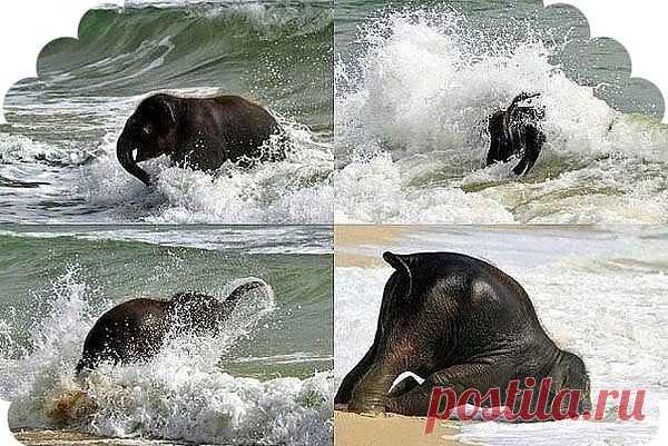 Мой Мир@Mail.Ru